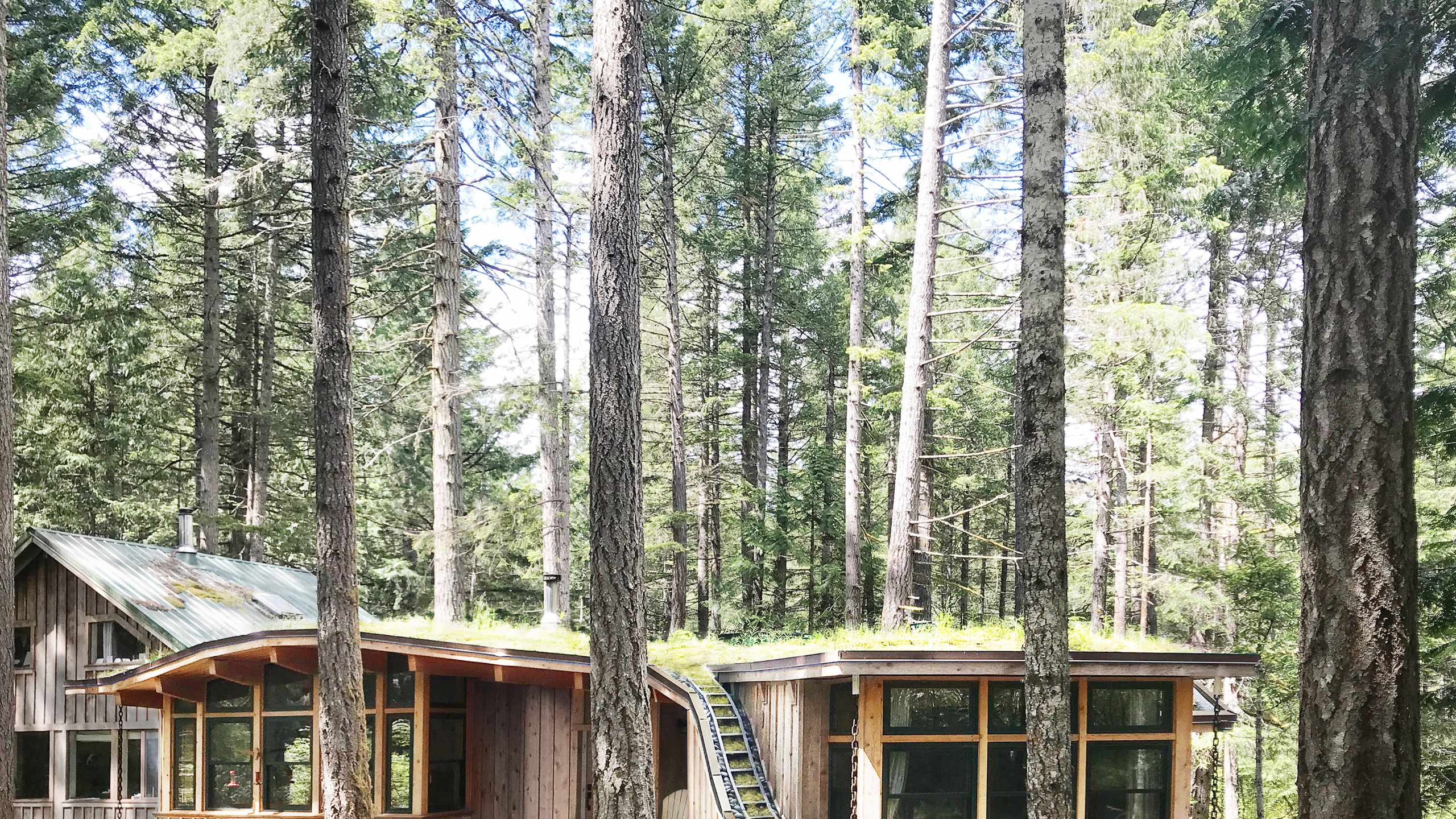 Forest Cabin © Greenway Studio Architecture (House Designer, Victoria, Oak Bay, Saanich, BC)