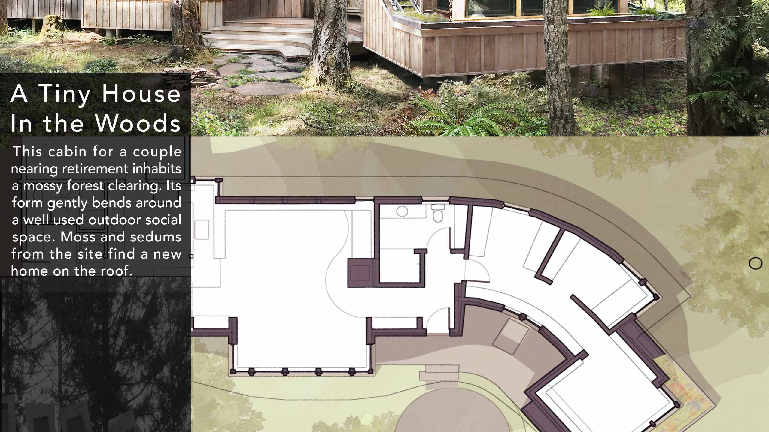 Forest Cabin © Greenway Studio Architecture (House Designer, Victoria, Oak Bay, Saanich, BC)