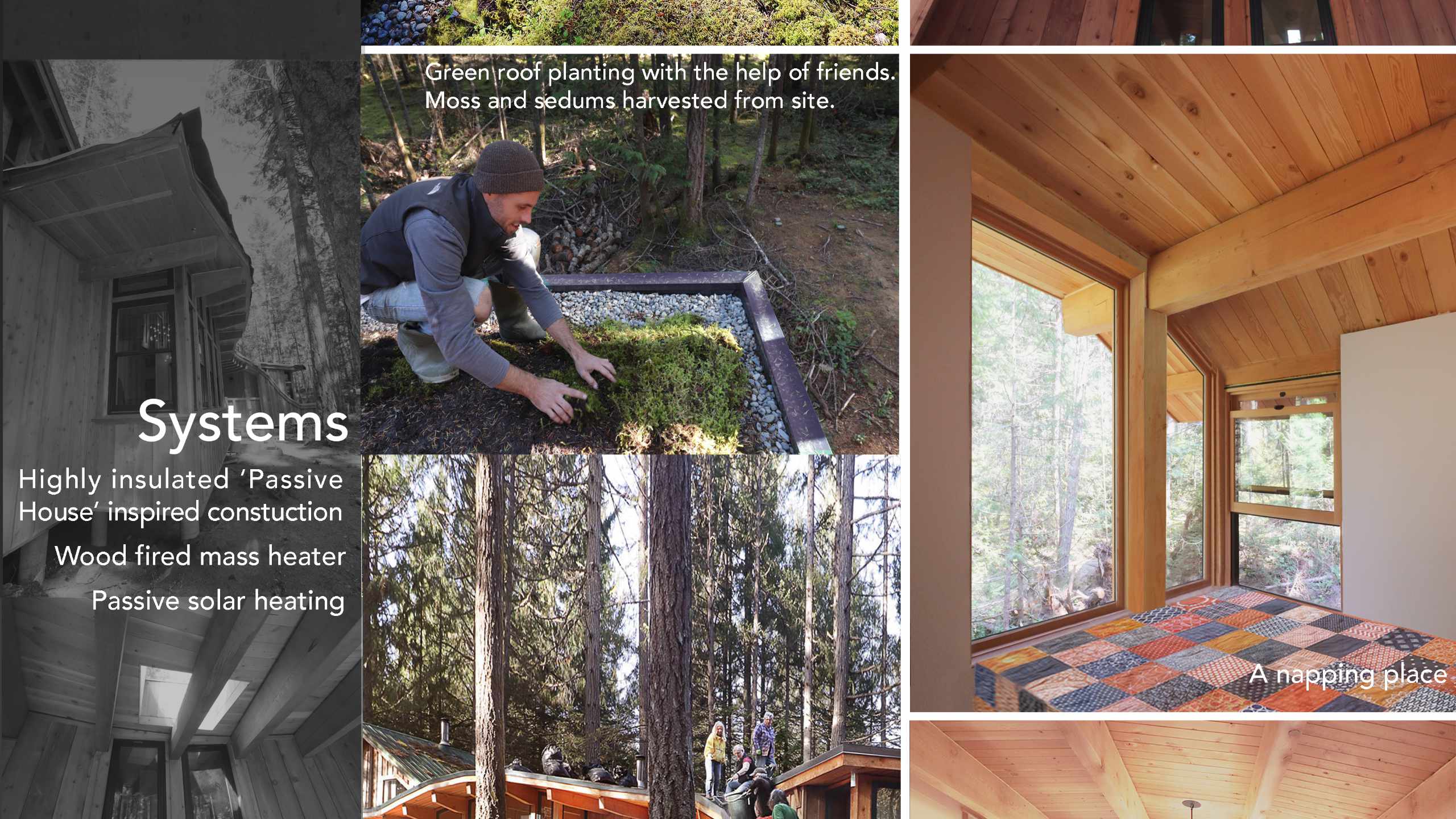 Forest Cabin © Greenway Studio Architecture (House Designer, Victoria, Oak Bay, Saanich, BC)