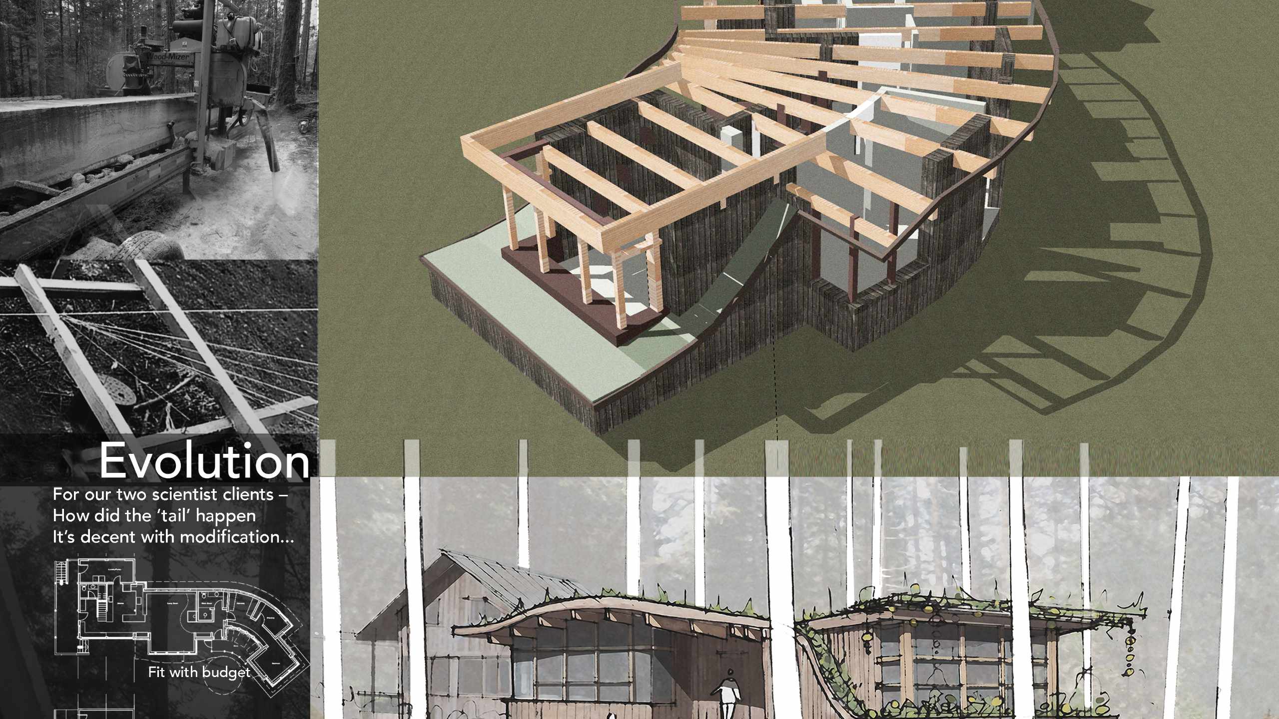 Forest Cabin © Greenway Studio Architecture (House Designer, Victoria, Oak Bay, Saanich, BC)